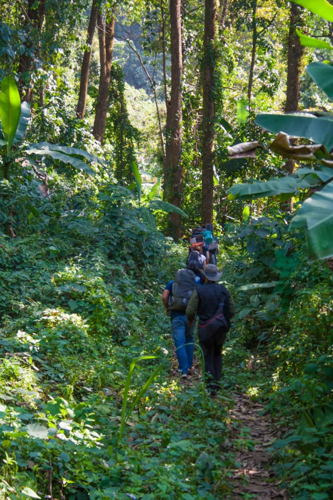 Trekking through Kamlang Wildlife Sanctuary